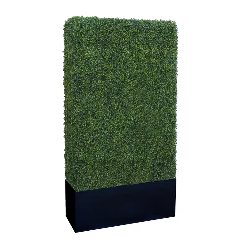 boxwood hedge wall rental new orleans